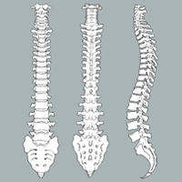 Coccydynia – Surgical Coccygectomy