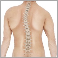 Spinal Deformity Correction