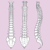 Vertebral Compression Fracture